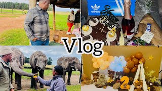 Vlog: knysna elephant park| BTS of Womi’s photoshoot| Birthday Weekend| Avela Dywili