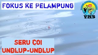 🔴Fokus pelampung❗Begini Goyangan pelampung saat dimakan ikan