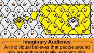 Understanding Imaginary Audience With Examples