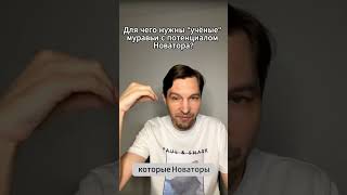 Для чего нужны "учёные" муравьи с потенциалом Новатора?