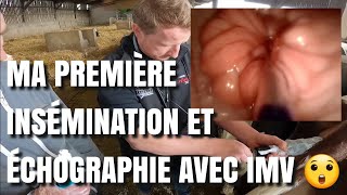 MA PREMIÈRE INSÉMINATION ET ÉCHOGRAPHIE AVEC IMV 😲