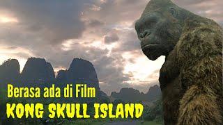 Berasa Ada Di Film Kong #kong #kingkong #skullisland