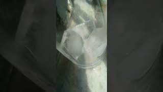 Ice Melting Video #ice #icemelting #water #funnyideas