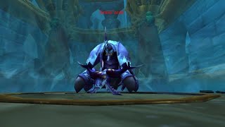 Wotlk Heroic Anub arak 25 Man Prot Paladin PoV - Warmane Wow