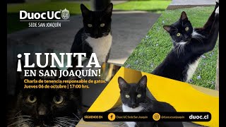 Lunita en San Joaquín: Charla de tenencia responsable de gatos.