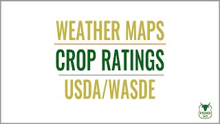 Weather, Crop Ratings, & USDA.  Are you volatility ready?