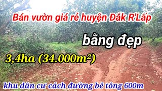 (Đã bán)Đất Vườn Giá Rẻ Huyện Đắk R'Lấp Cách Đường Bê Tông Chỉ 600m|Bán Đất Đắk Nông