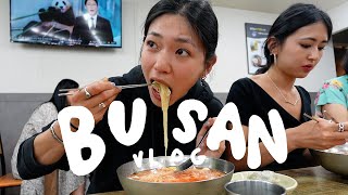 what we ate in 24 hours in Busan, Korea (so much seafood, street food, sightseeing) | Joelle