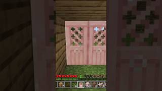 A porta da minha casa é rosa #minercraft #minecraft #minecreft