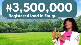 🔥Update on Affordable ₦3.5M land Enugu Nigeria