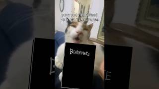 pov: you didn't feed your cat in 5 minutes #deathnote #cat