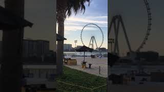 My first short video of 2021 #jbr #youtubeshorts #shortvideo #dubai #jbrbeach