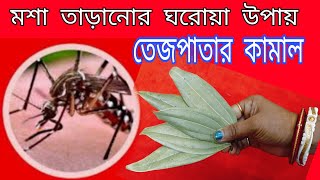 ঘরে কেনো ঘরের আশেপাশে একটা মশাও খুঁজে পাবেনা এই ঘরোয়া রেমেডি ব্যবহার করে দেখো