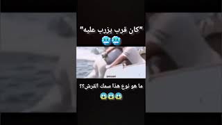 تدخل سريع أمام هذا القرش الشرس