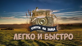 Охота на зайца. Легко и быстро. Hunting for hares