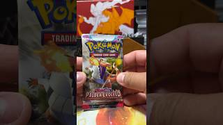 Paldea Evolved - Pokemon Pack Opening #pokemoncollector #pokemon