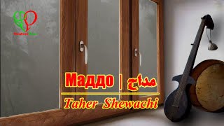 Маддо | Taher Shewachi | مداح | طاهر شیوه چی