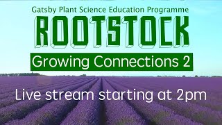 Rootstock Plant Science Livestream - Growing Connections 2 🌱