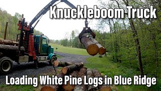 Knuckleboom Truck - Western Star - Loading Big White Pine Logs in Bakersville, NC