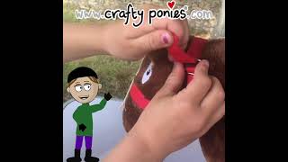 Crafty Ponies HEADCOLLAR, with Izzy instructress!