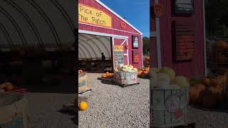 Pumpkins and Autumn Wonderland at Benjamin Tree Farm’s Pumpkin Patch - Waterloo, Ontario, Canada! 🍂🎃