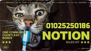 نوشن القاهرة الجديدة Notion New Cairo شركة  تاون رايترز Town Writers للاستعلام 01025250186