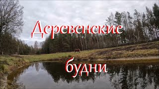 Зима пришла, а недоделки остались.) Жизнь на Лесном Хуторе.