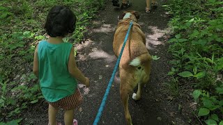 Family nature walk!#family #puppy #pets #funny #dogs #cute #doglover