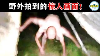 10个野外摄像机拍到的惊人画面！拍摄者被吓坏了！丨地球之最#冷知识 #排名 #世界之最#动物#动物世界#野外摄像机#追踪摄像机#监控#世界之最top#top10#相机拍到的惊人画面