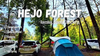 Camping Keluarga di Hejo Forest Ciwidey