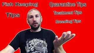 Sergeant Tank Pets- Tips For Fish Keepers: Quarantine (Episode 5)