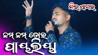 Chham Chham Tor Payaliya Sambalpuri Song Neel Sagar - Sambalpuri Orchestra Video 2024 #ssmedia