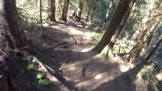 Trail ride Electric lettuce vedder mountain