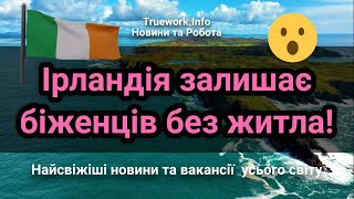 Уряд Ірландії закриває десятки центрів, де надають житло українцям | Українці в Ірланжії