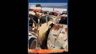 Abandoned Volkswagen Junkyard in New Mexico - Al's Desert Hoard