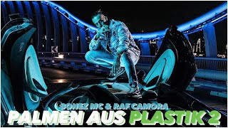 PALMEN AUS PLASTIK 2 (INTRO)