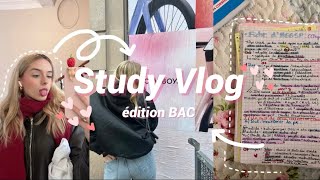 study vlog : je révise le bac, être productive au lycée, copains etc.