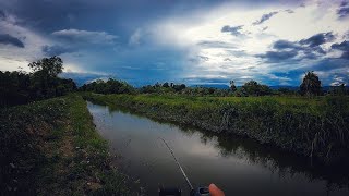 Berpindah Spot Banyak Sambaran | EXP Buggy / Labah Frog | Cukai Sambaran