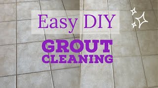 Non-toxic Grout Cleaning