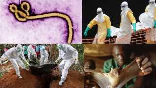 Spillover - Animal Infections and the Next Human Pandemic