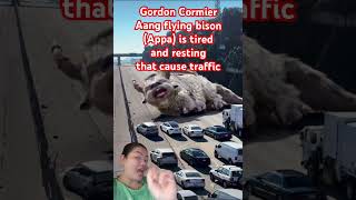 Gordon Cormier as Aang flying bison as Appa is tired and resting that cause traffic #shorts