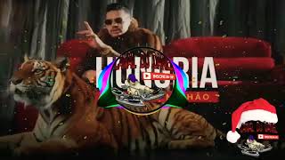 Hungria hip hop - primeiro Milhao ( Canal Dj Daniel )