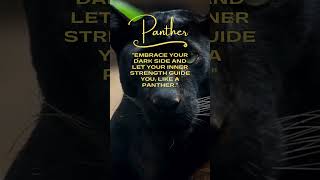 panther