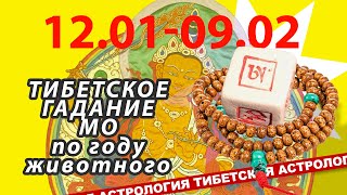 Тибетское гадание МО для каждого года животного на месяц деревянного барана с 12.0 по 09.02 2024.