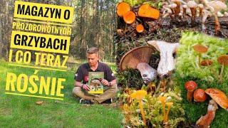 Grzyby z bagien i ciekawy magazyn o prozdrowotnych właściwościach grzybów i moją skromną osobą.