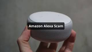 Alexa Local Business Listing Scam