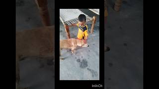 😱😱😱🫵🫵🤭🤭 यह नही देखा तो कुछ नही देखा एक बार जरूर देखो 🙏🙏🙏🫵🫵🫵😱😱😱🙏🙏 #viral #dog #dogcomedy #viralshort