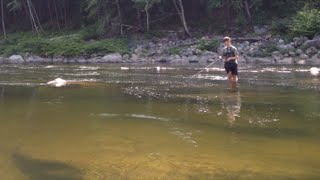 Fishing for micro bass on a rooster tail i found-----Creek smallmouth fishing