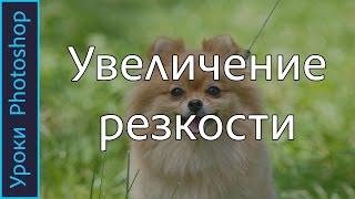 Как УВЕЛИЧИТЬ РЕЗКОСТЬ в ФОТОШОПЕ. 3 способа повышения резкости фотографии. Уроки PHOTOSHOP.