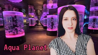 Океанариум "Aqua Planet" в Сувоне/ Korea Vlog